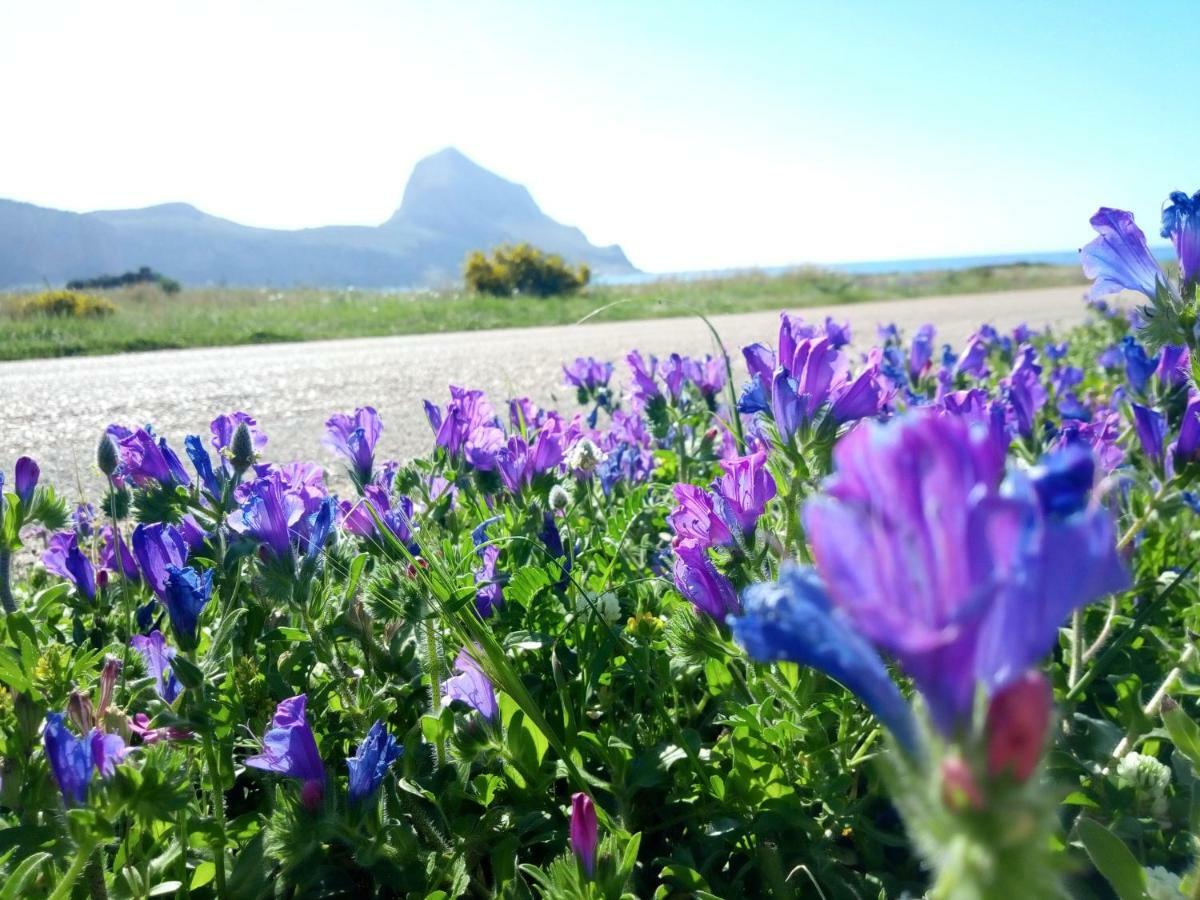 Karma B&B San Vito Lo Capo Zewnętrze zdjęcie